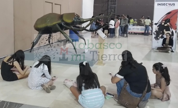 Muy atentos niños disfrutan de la compañía de una escarabajo